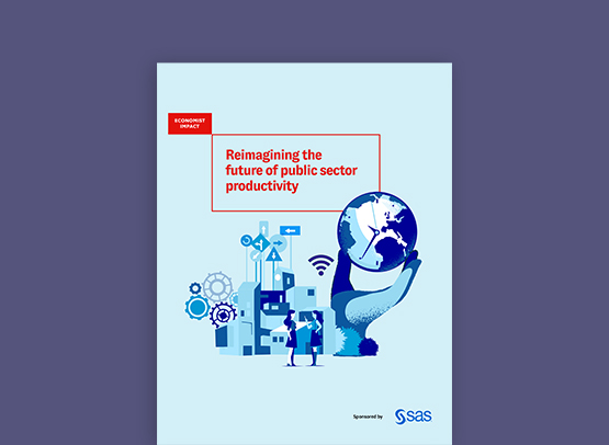 Reimagining the Future of Public Sector Productivity